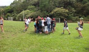 Organico (11)