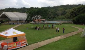 Organico (4)